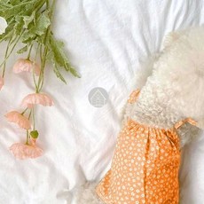 PET 강아지 원피스 드레스 강아지민소매 강아지나시티 반려견옷, 02강아지옷-꽃오렌지M