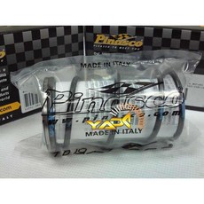 義大利 PINASCO 大彈簧 薄型軸承組 【PGO TIG】