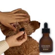 교감 반려동물 효소 이어솔루션 Ver 2.0 강아지 귀세정제 귀청소 귓병 외이도염 예방, 1개, 30ml