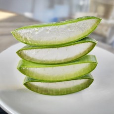 알로에 생잎 1kg(2~3통 내외) 국내산 알로에베라(Aloe Vera) 생알로에, 1, 1kg