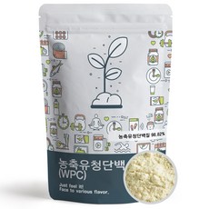 푸른빈 WPC 농축 유청 단백질 분말 가루, 1kg, 1개