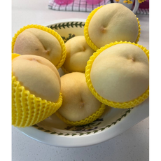 설아 설리 백도 가을 겨울 복숭아 쫀득 생과 고당도 설아복숭아 고당도복숭아, 1개, 1.1kg내(4알)