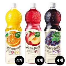 자연은 자두 감귤 포도 3종혼합 4개씩, 12개, 1.5L