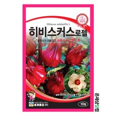 히비스커스 로젤 10립 / 일년생 다년생 꽃씨 종자 식용식물 허브, 2개