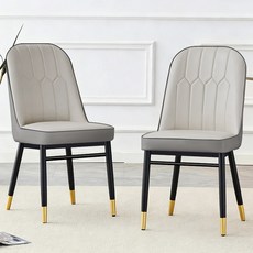 뷔이위이 식탁의자 카페 식당 인테리어 등받이 가죽 2인용 체어, 2개, 연그레이&다크 그레이