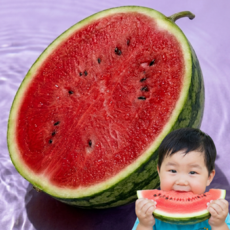 [비파괴선별] 하우스 함안 수박 초고당도, 1개, 6kg