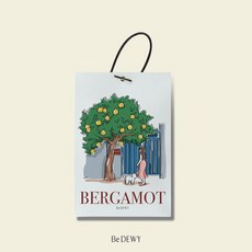 비듀이 퍼퓸 샤쉐 차량용 에어 프레셔너 20g 4종, 베르가못, 1개