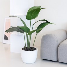 [쏘굿] BEST 생화같은 조화나무, 극락조 120cm, 1개