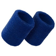 고래상회 무지 스포츠 손목 아대 밴드 보호대 2개 1세트, 블루, 1개