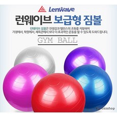 K40012A 런웨이브 보급짐볼/펌프포함/벌크, LW보급형짐볼세트 55-레드