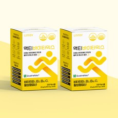 맛있는 비타민B 영양제 액티바이타믹스 여성 남성 어린이 청소년 멀티비타민 2BOX (2개월분), 60g, 2개