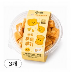 [달미공방] 한입 쫀득쿠키 황치즈 100g 3개