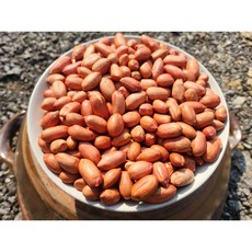 국산땅콩 직접농사지은 여주 볶은땅콩, 1박스, 1kg
