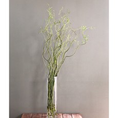 곱슬버들 물병꽂이 인테리어 소품 120cm, 1단