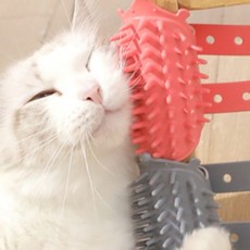 고양이 털 긁개 개털, 그레이