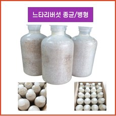 버섯키우기, 느타리버섯, 4개