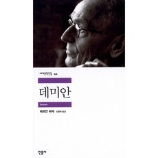 데미안, <헤르만 헤세> 저/<전영애> 역, 민음사