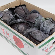 국내산 특품 적채 반박스 3통 적양배추 가락시장 당일새벽경매, 적채(특품) 반박스(3통), 3개