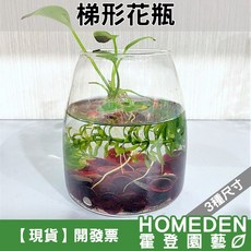 梯形花瓶 - HOMEDEN 霍登園藝, 中：口徑7.5×高10cm