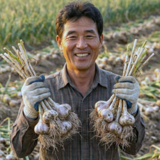 [내일도착보장] 국내산 햇 통마늘 피마늘 안깐마늘, 1kg (대/알싸한), 1개