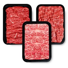 오늘선별 1++ 투뿔 한우 모듬 구이 한판 600g, 1세트
