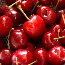 항공직송 프리미엄 생 체리, 1박스, 체리 특대과(9.5R) 1kg