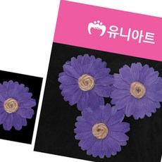 돈스텔 유치원환경구성 국화 조화 보라 3p