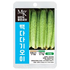 모칸도 좋은씨앗 오이 씨앗 50립 국산 백다다기 채소 야채 열매채소 씨앗, 1개