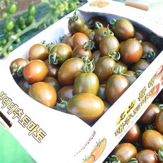 방울토마토 흑토마토 단단한 과육 터지는 식감이 좋은 블방토, 1개, 2kg