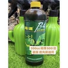 施達 B4 必旺養葉肥 300cc 觀葉植物 鹿角蕨 適用, 1個