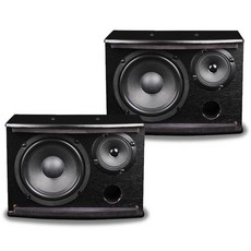 品勝 6.5吋 卡包音箱 適用於 K歌/背景音樂, 一對