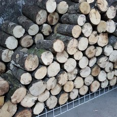 產卵木 鍬形蟲繁殖專用產木 (8cm以下), 1個