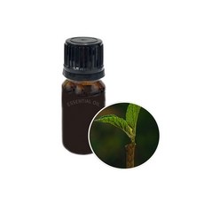 벤조인 10ml 천연 에센셜 오일 EO, 1개, 벤조인향