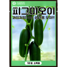 그린하트바이오 피그미오이 10립 생과용 과일처럼 먹는 오 채소 씨앗 종자 그린하트바이오, 1개