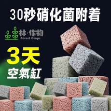 林·作物 Forest Crops 4D淨水蛋糕濾材 彈性泡孔 高效培菌 穩定水質 耐用十年, 1個