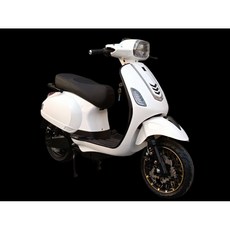 YHC 威犀電動車 E-BIKE 合法領牌 微型電動二輪車 鉛酸電池 高顏值復古設計 省油錢、免牌照稅 通勤代步首選, 1個, 經典白, 約 55~65 公斤