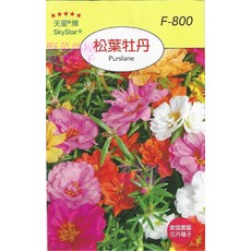 【野菜部屋】松葉牡丹Purslane~穗耕種苗~天星牌種子~F-800, 1包