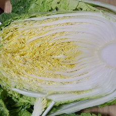 좋은야채 국내산 손질배추 햇배추 1포기, 2kg, 1개