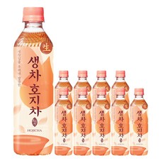 웅진 생차 호지차, 500ml, 10개