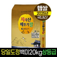 [25년햅쌀][명가미곡]지리산메뚜기쌀 백미20kg/상등급/당일도정/판매자직도정, 20kg, 1개