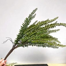 高仿真綠植蕨草綠色蕨類植物腎蕨熱帶雨林軟膠櫥窗景觀造景裝飾, 58cm軟葉波斯草, 1個