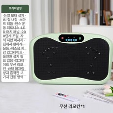 덜덜이 운동기구 털털이 바디슬리머 머신 실내 가정용 쉐이크보드 전신 다이어트 기구 홈트, 프리미엄-그린