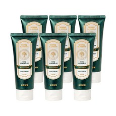 닥터버들 프로폴리 에센셜 치약 150g, 6개