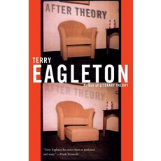 After Theory Paperback, Basic Books, English, 9780465017744