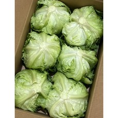 채소모아 산지직송 벌크 양상추 6통 한박스 식자재 업소용 대용량, 300g, 6개