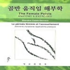 [개똥이네][중고-상] 골반 움직임 해부학