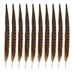 꿩 깃털 고양이장난감 30cm, 10개
