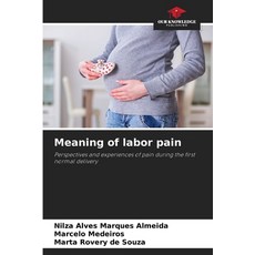 (英文圖書)Meaning of labor pain 平裝版, Our Knowledge Publishing, 英文