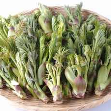 [하루50박스한정]첫수확 제철 국내산 참 두릅, 1세트, 300g