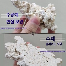 셀렉트하루 데드락 어항 장식 산호, 프리미엄 반절단, 1개, 기본 색상